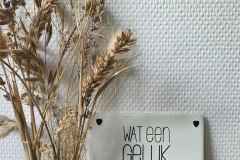 Wenstegel Eveline