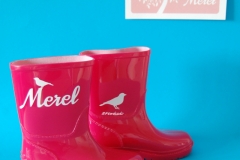 Laarsjes Merel