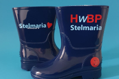 Laarsjes Stelmaria