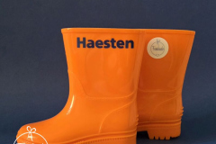 Laarsjes Haesten